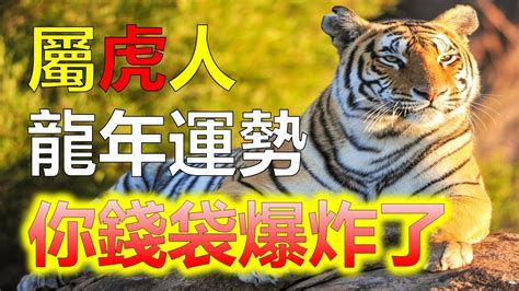 屬虎今年運勢|2024年屬虎人全年整體運勢